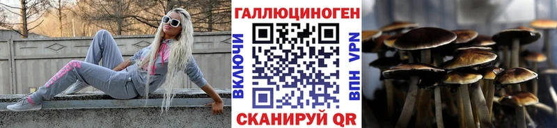 omg вход  Мглин  Псилоцибиновые грибы Magic Shrooms 